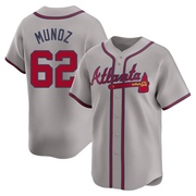 Rolddy Munoz Youth Atlanta Braves Away Jersey - Gray Limited